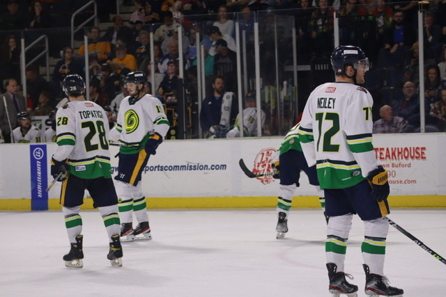 Glads Fall to Everblades