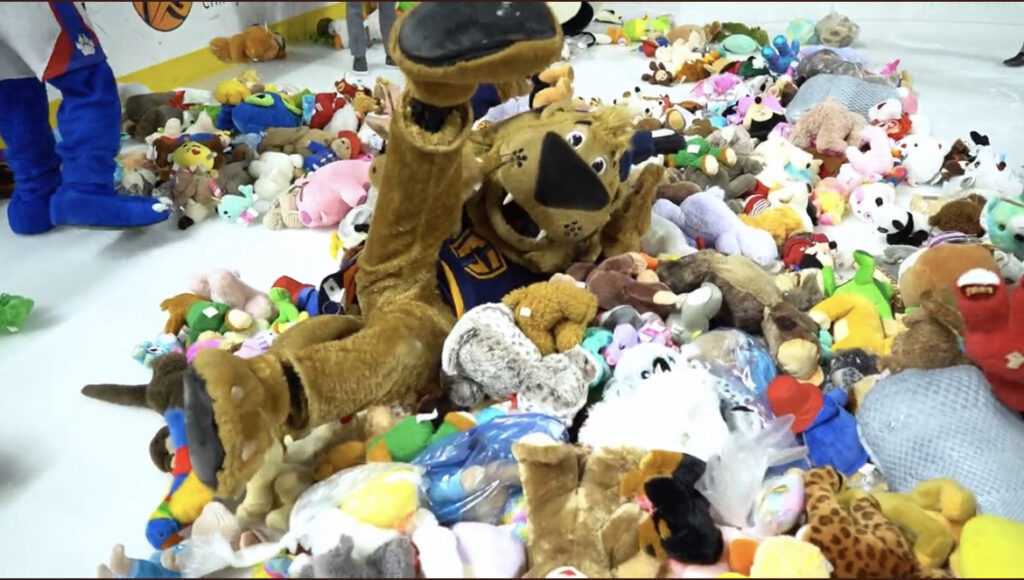 Glads Announce Fans Tossed Historical record 15,000+ Teddy Bears Onto The Ice
