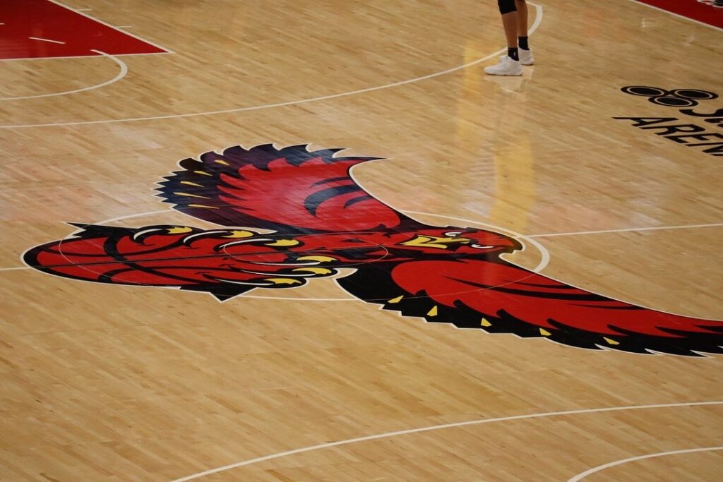 Bey Injured as Hawks Drop Game to Pelicans Before 5-Game Road Trip