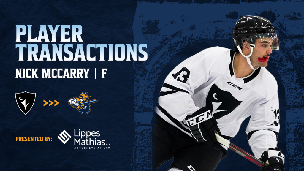 Gladiators Add Dynamic Forward Nick McCarry Ahead of Road Trip